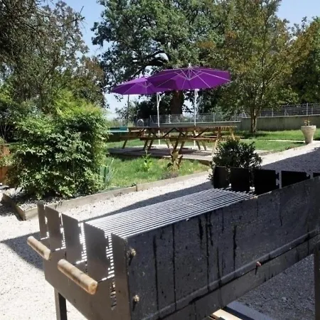 Saint-jean-le-comtal, 7 Pieces, 12 Personnes - Fr-1-483-204